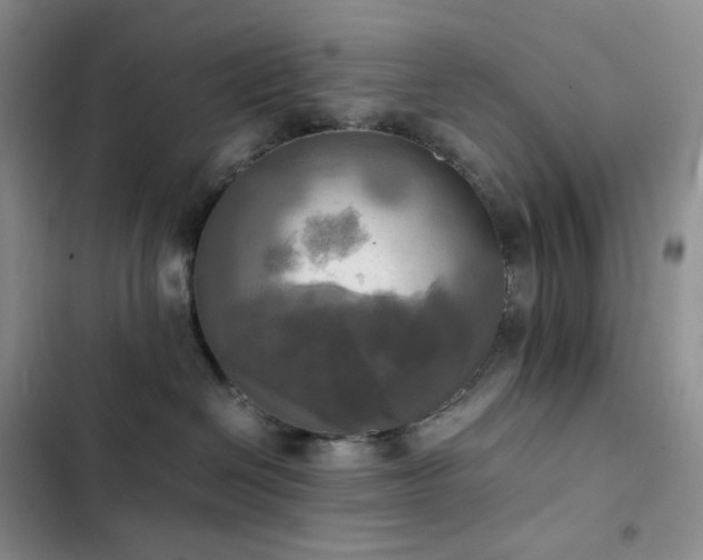 X0000102840286200808181355