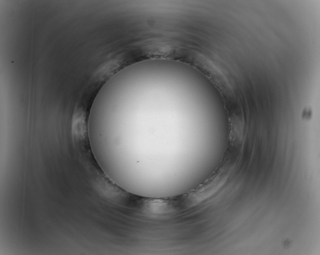 X0000102840287200808181355