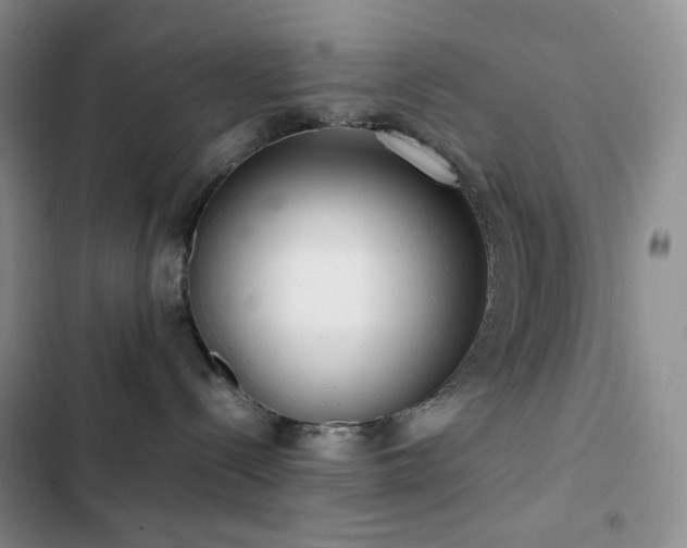 X0000102840288200808181355