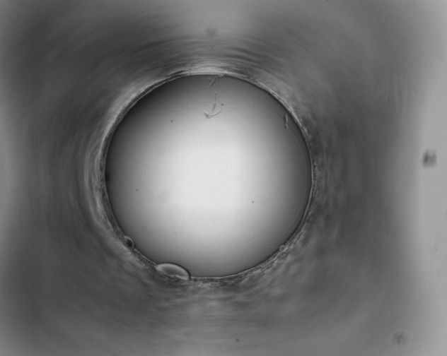 X0000102840289200808181355