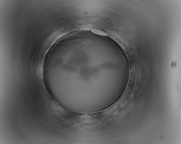 X0000102840290200808181355