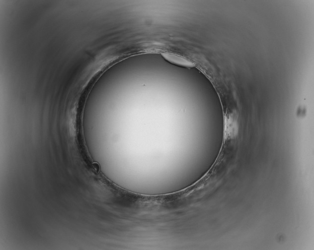 X0000102840291200808181355