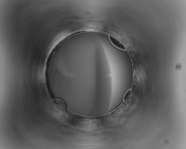 X0000102840292200808181355