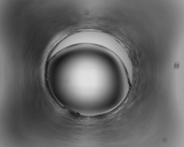 X0000102840293200808181355