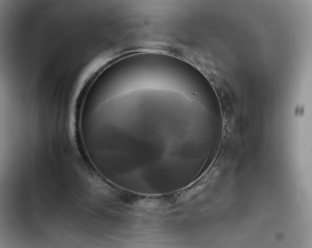 X0000102840294200808181355