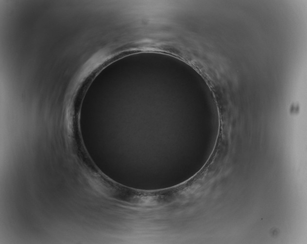 X0000102840295200808181355