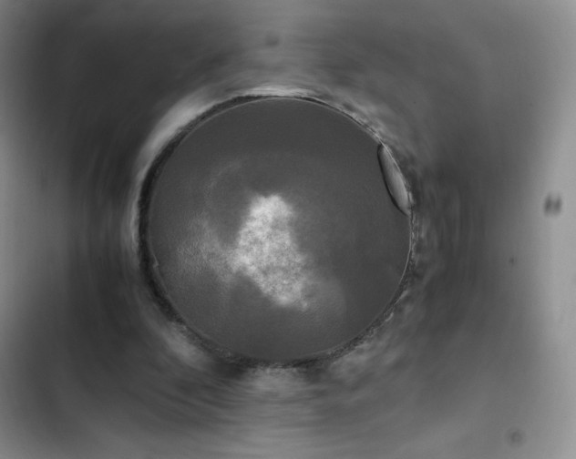 X0000102840296200808181355