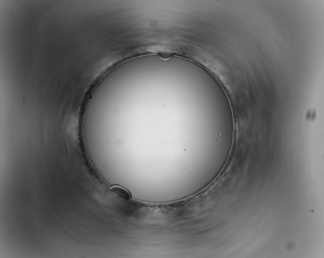 X0000102840297200808181355