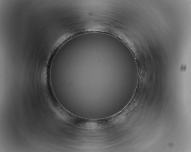 X0000102840298200808181354