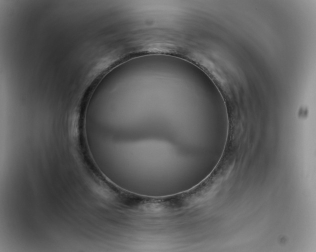 X0000102840299200808181354