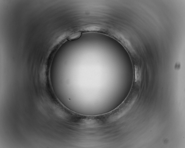 X0000102840300200808181354