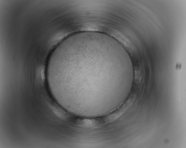 X0000102840302200808181354