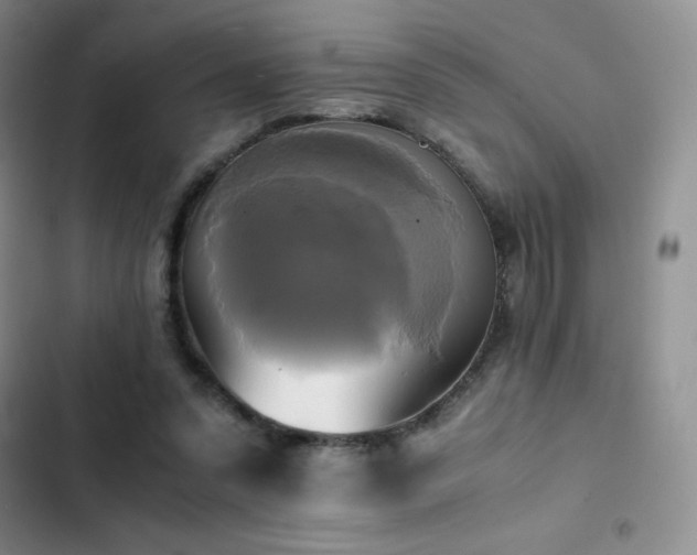 X0000102840303200808181354