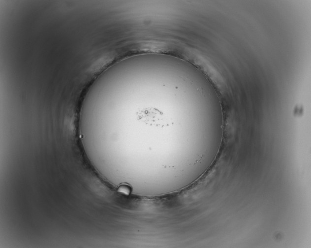 X0000102840305200808181354