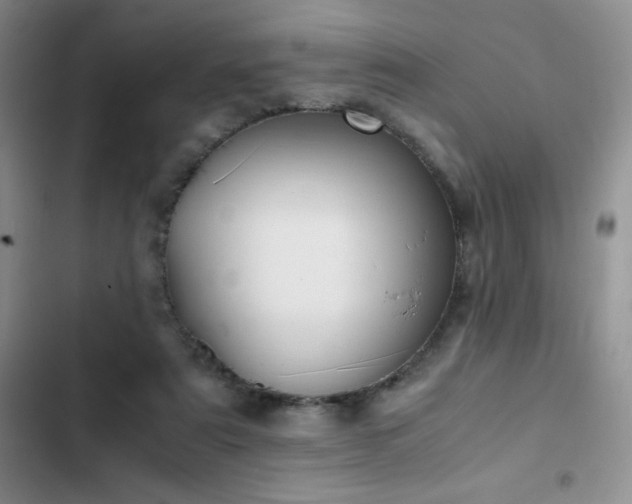 X0000102840307200808181354