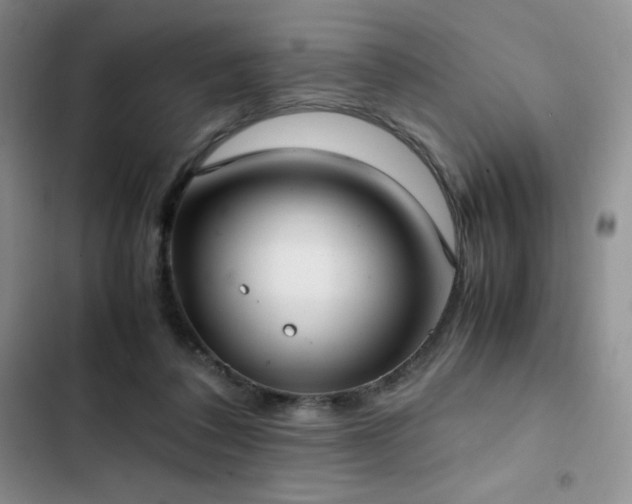 X0000102840308200808181354