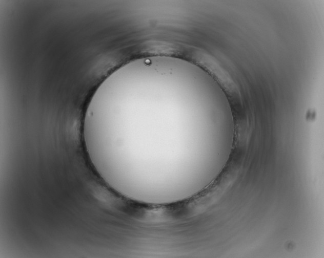 X0000102840309200808181354