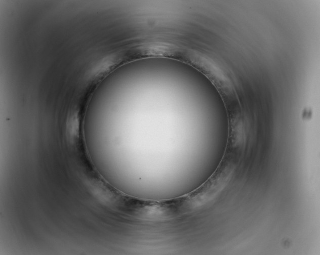 X0000102840310200808181354