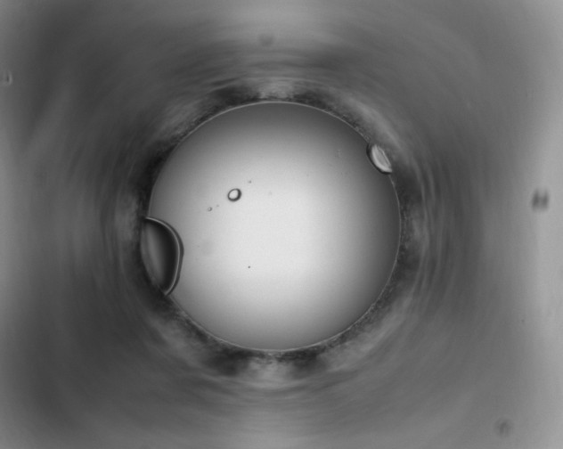 X0000102840311200808181354