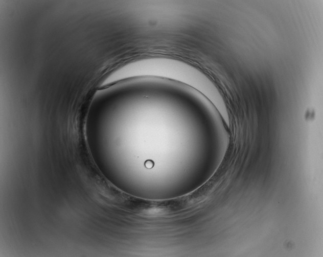 X0000102840312200808181354