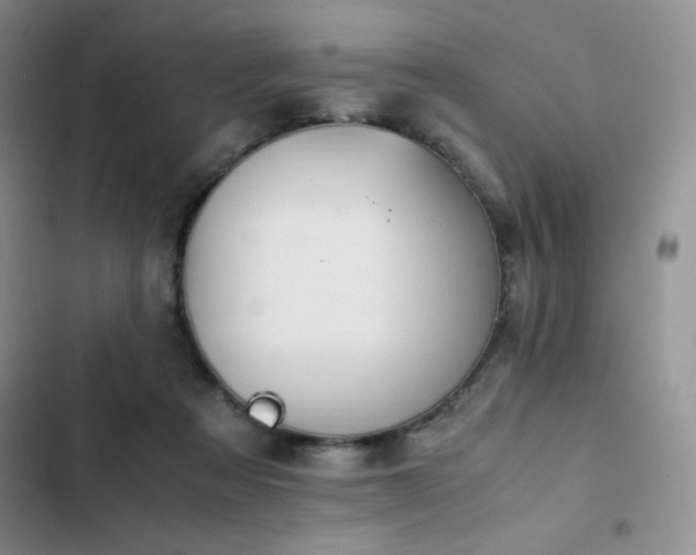 X0000102840313200808181354