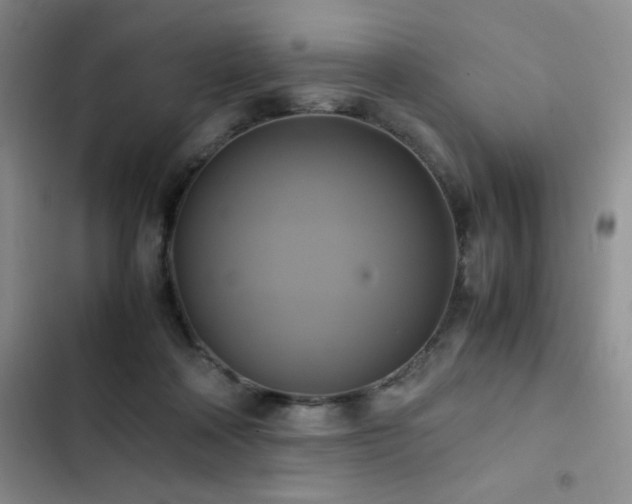 X0000102840314200808181354