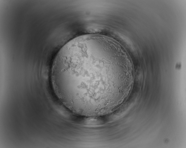 X0000102840315200808181354