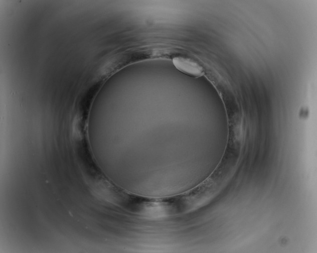 X0000102840316200808181354