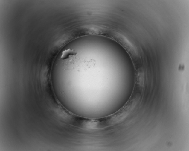 X0000102840318200808181354