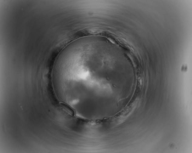 X0000102840319200808181354