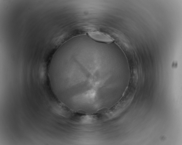 X0000102840320200808181354