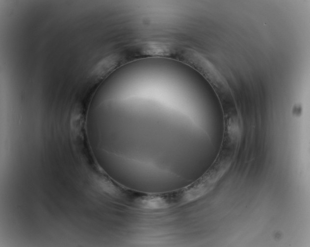 X0000102840322200808181354