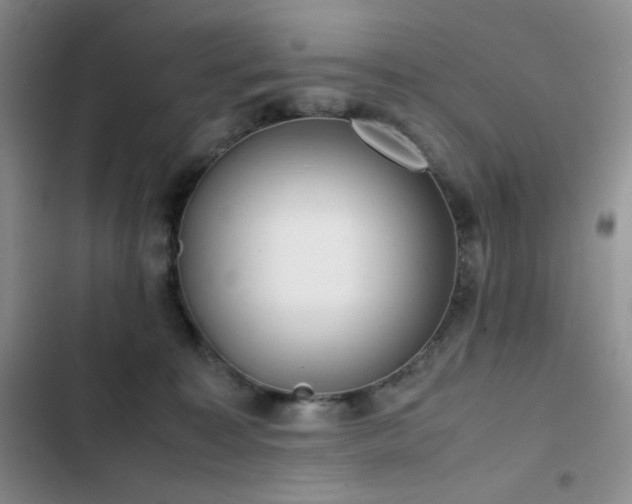 X0000102840323200808181354