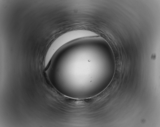 X0000102840324200808181354