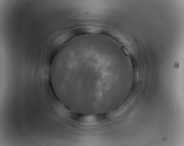 X0000102840325200808181354