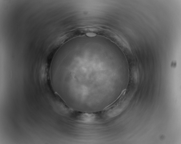 X0000102840328200808181354