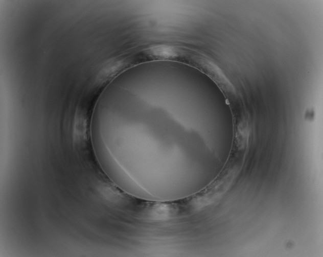 X0000102840330200808181354