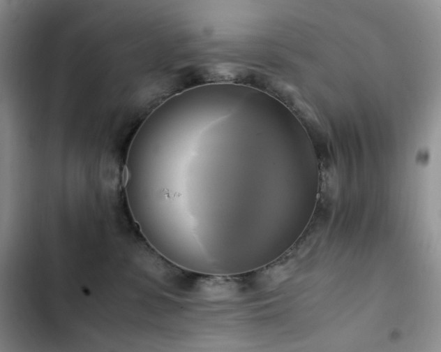 X0000102840331200808181354