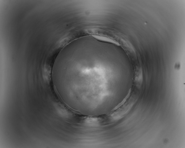 X0000102840332200808181354