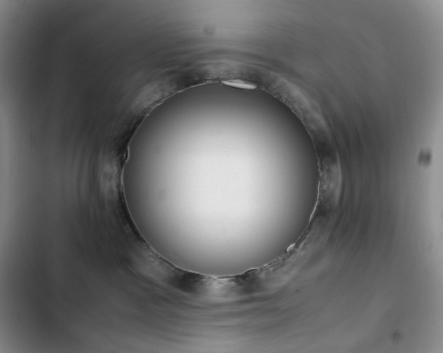 X0000102840333200808181354