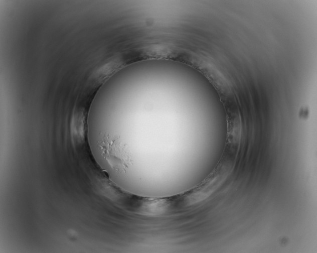 X0000102840334200808181354