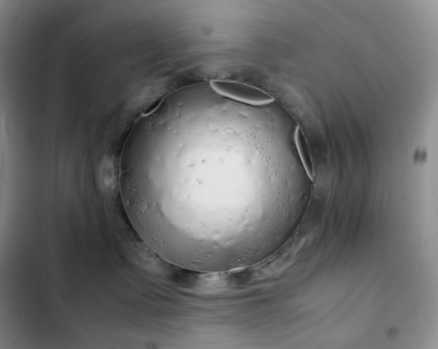 X0000102840335200808181354