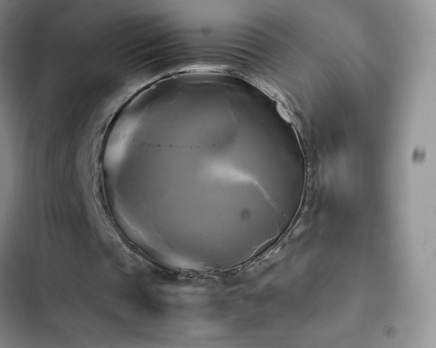 X0000102840337200808181353