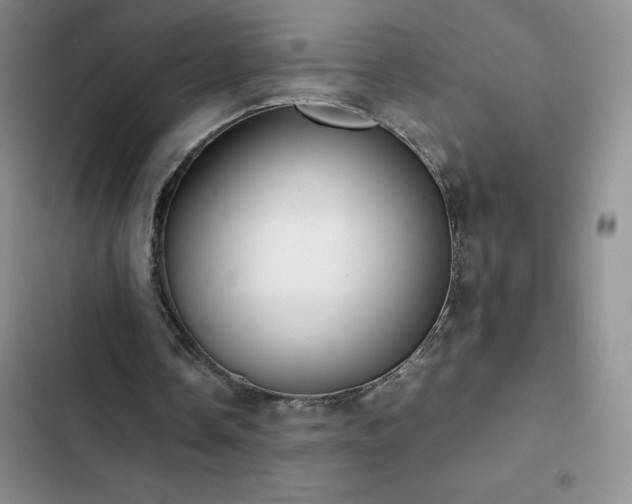 X0000102840338200808181353