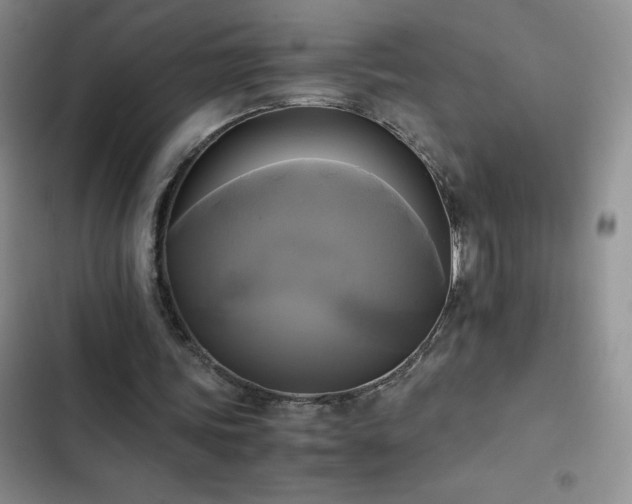 X0000102840339200808181353