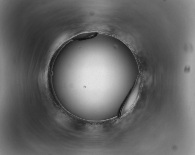 X0000102840340200808181353