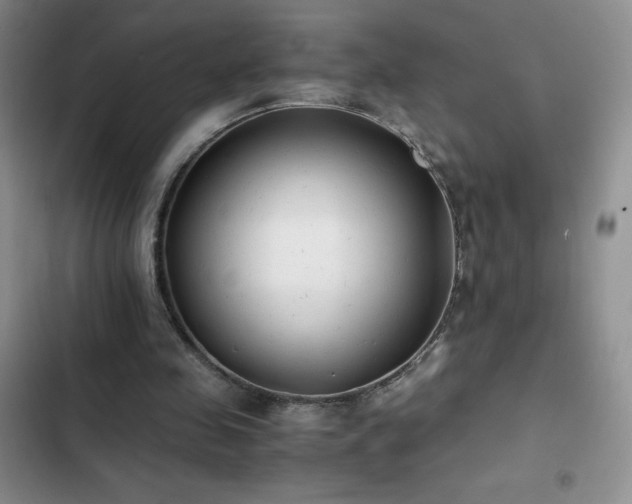 X0000102840341200808181353