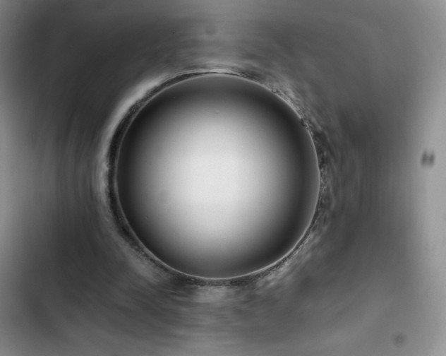 X0000102840342200808181353