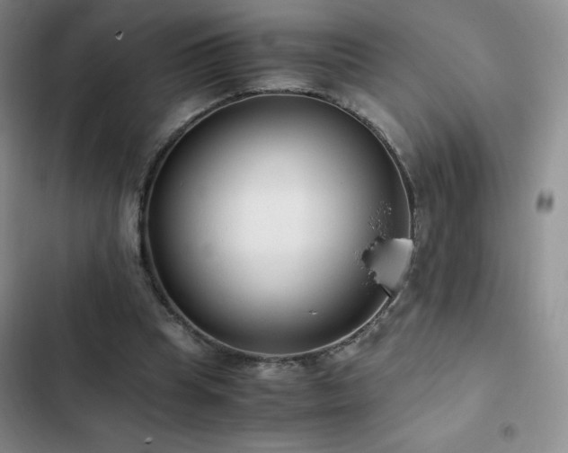 X0000102840345200808181353