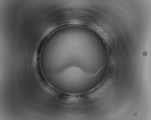 X0000102840347200808181353